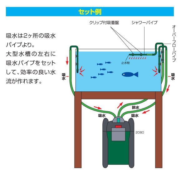 エーハイム プロフェッショナル 3 80 アクアリウムwiki