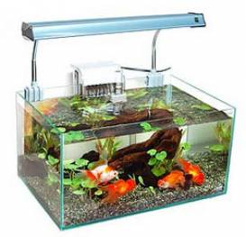 450i01.jpg 450i01.jpg