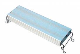 L145001.jpg L145001.jpg