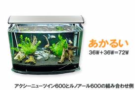 llumi_newtwin_02.jpg llumi_newtwin_02.jpg