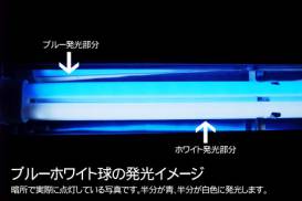 llumi_fine18w_06.jpg llumi_fine18w_06.jpg