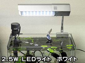 img144__DSC8394.jpg img144__DSC8394.jpg