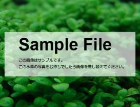 samplefile_plants.jpg samplefile_plants.jpg