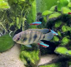 C812B913-3B5B-4605-A709-8FC50AB45F55.jpeg C812B913-3B5B-4605-A709-8FC50AB45F55.jpeg