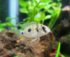 zzzzzzzzykuri34.jpeg zzzzzzzzykuri34.jpeg