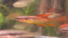 111016_1341~03_0.jpg 111016_1341~03_0.jpg