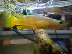 20210205_182350.jpg 20210205_182350.jpg