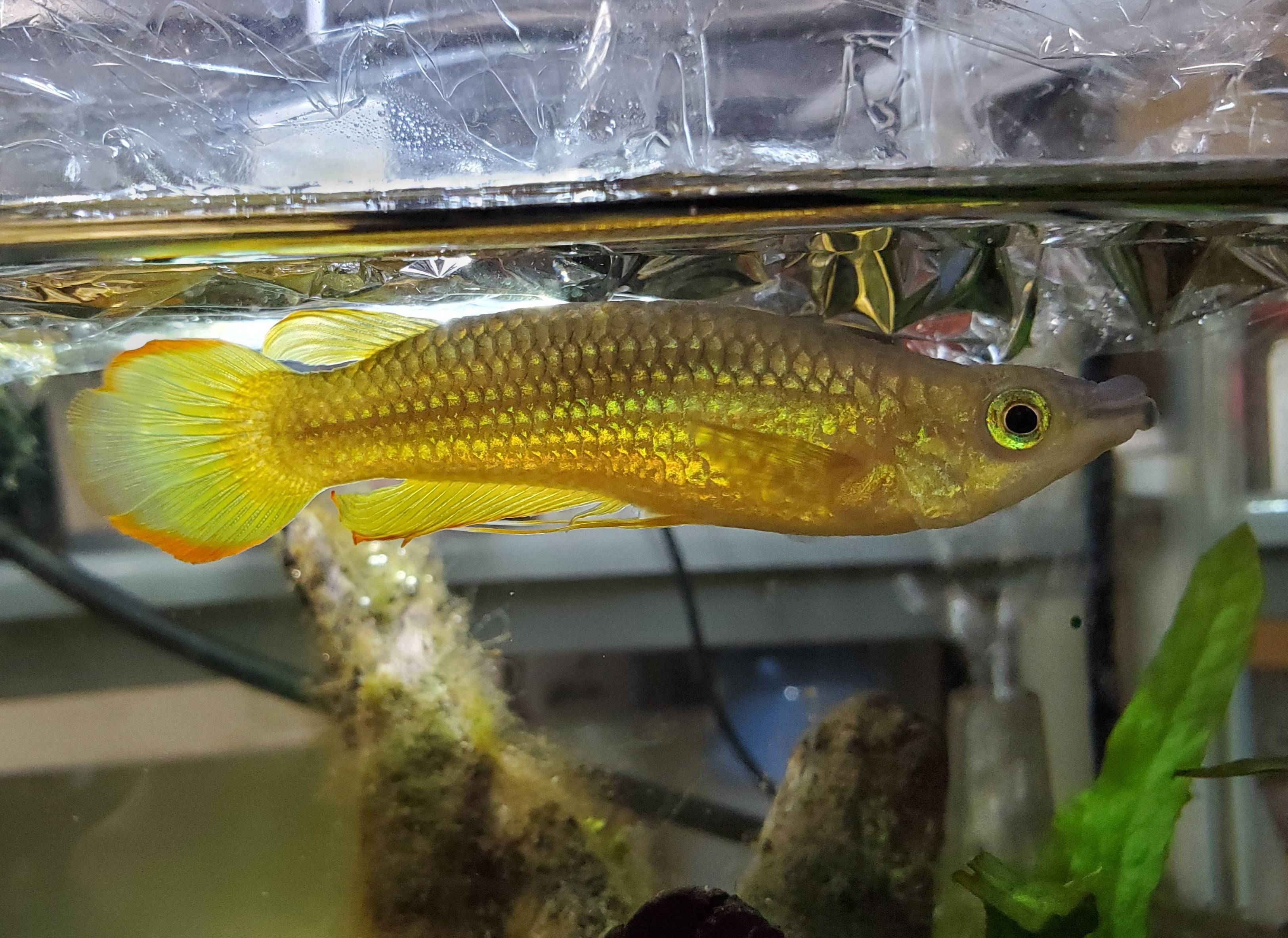 20210214_135958.jpg 20210214_135958.jpg