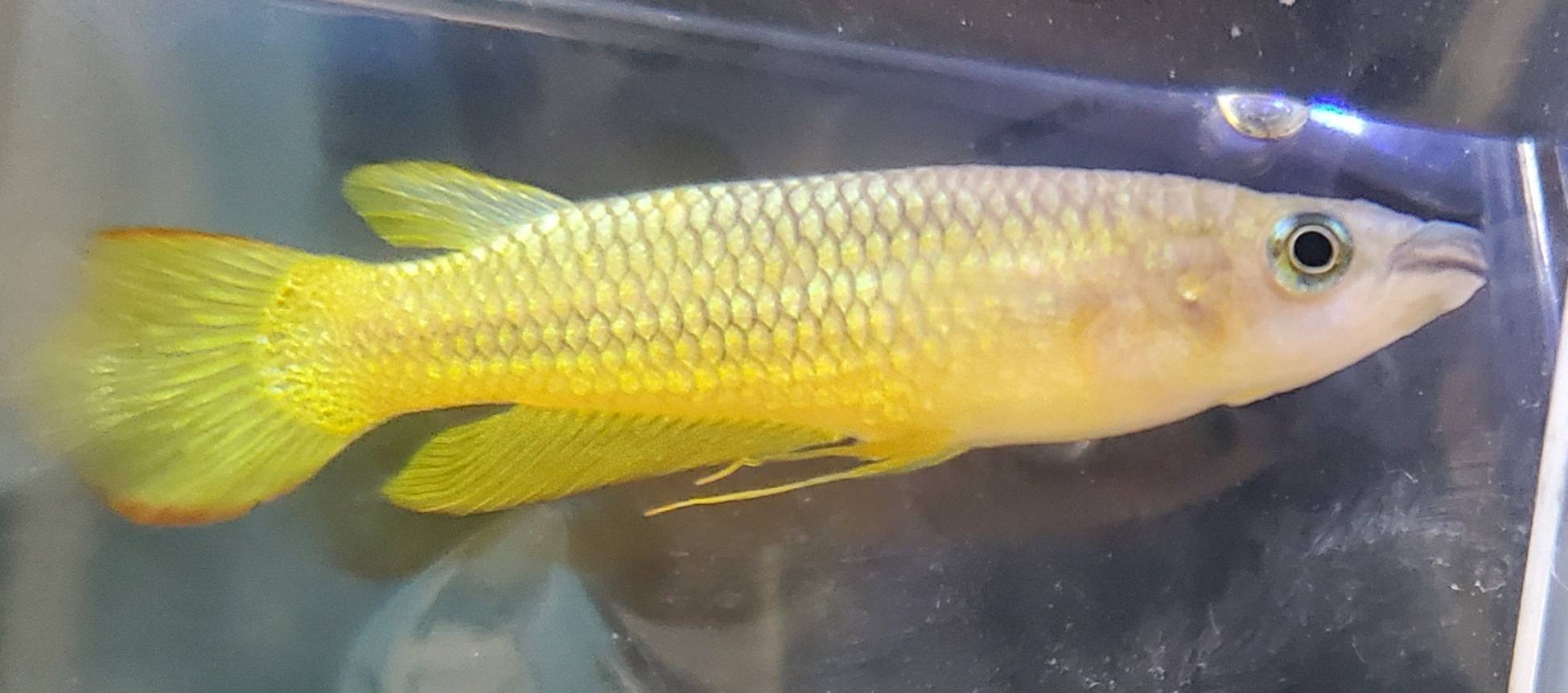 20210214_140647.jpg 20210214_140647.jpg