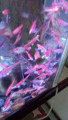 2qkuzp342.jpg 2qkuzp342.jpg