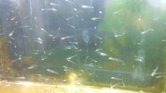 2qkuzp3f6.jpg 2qkuzp3f6.jpg