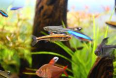 35DA38BF-40A9-4269-AD1E-2F63ABA1A561.jpeg 35DA38BF-40A9-4269-AD1E-2F63ABA1A561.jpeg