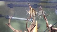 06_w1920.jpg 06_w1920.jpg