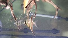 DSC_0058.jpg DSC_0058.jpg