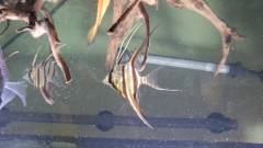 DSC_0059_0.jpg DSC_0059_0.jpg