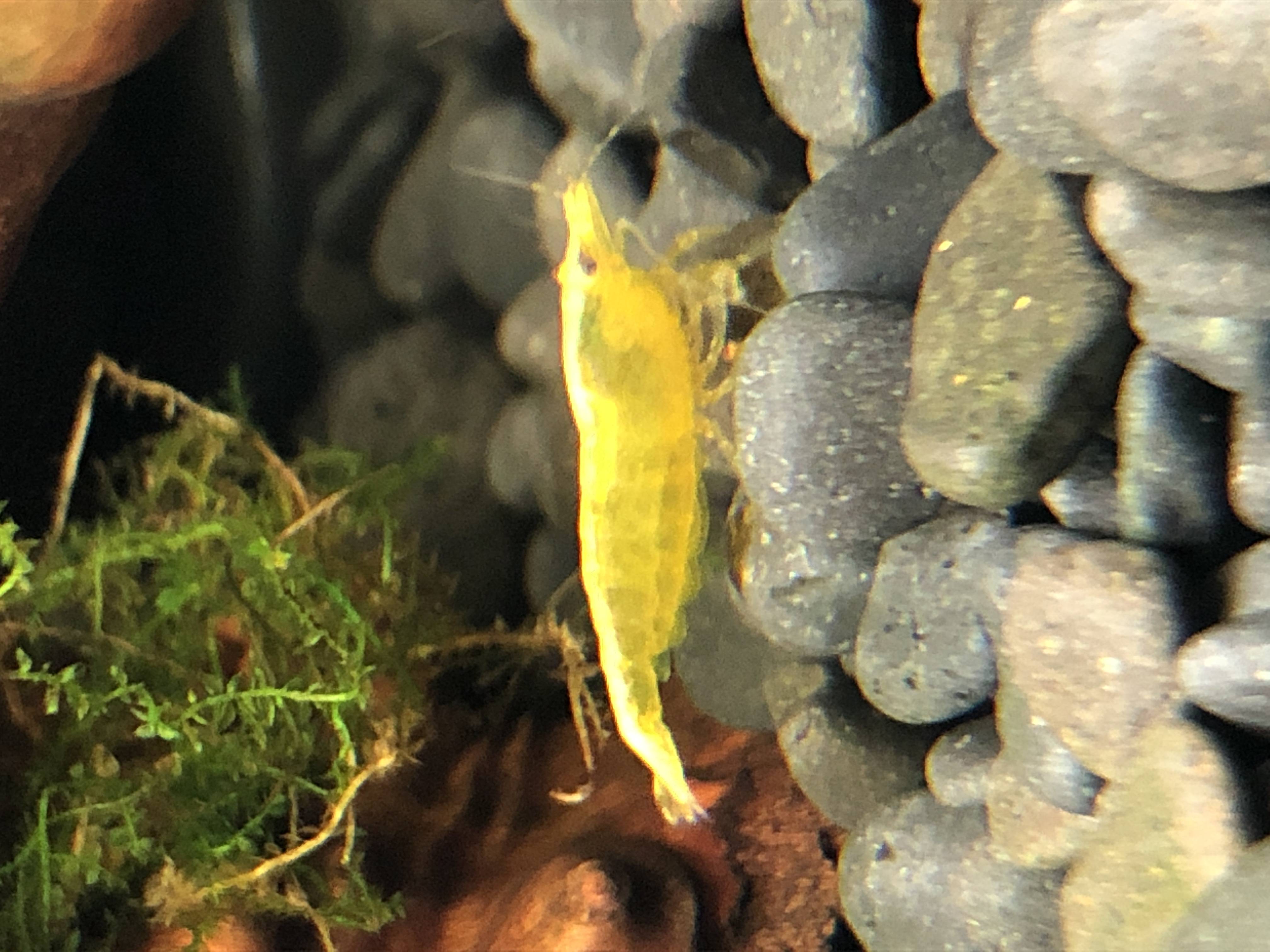 image_0.jpg image_0.jpg