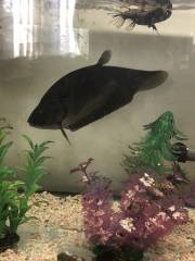 59F044B2-50DC-49F8-BB7F-091B4E74B832.jpeg 59F044B2-50DC-49F8-BB7F-091B4E74B832.jpeg