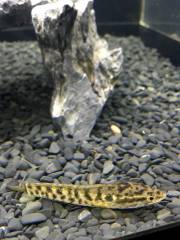 image.jpeg image.jpeg