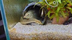 DSC_0012.jpg DSC_0012.jpg