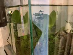 IMG_1590.jpeg IMG_1590.jpeg