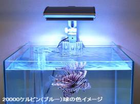 llumi_mone_01.jpg llumi_mone_01.jpg