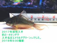 IMG_1008.jpg IMG_1008.jpg