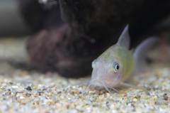 image.jpeg image.jpeg