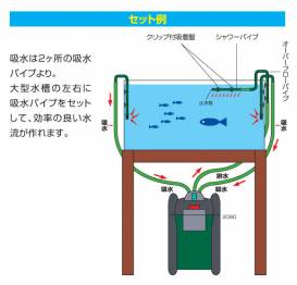 208003.jpg 208003.jpg