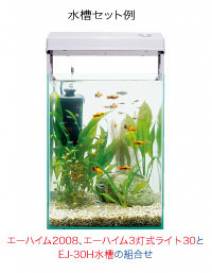 200803.jpg 200803.jpg