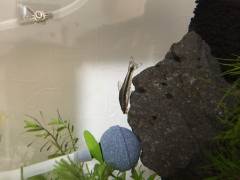 image_0.jpeg image_0.jpeg