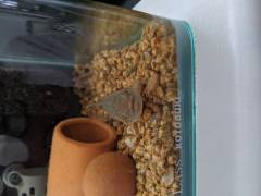 MVIMG_20200727_124559.jpg MVIMG_20200727_124559.jpg