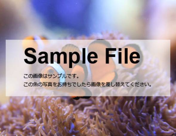 オレンジストライプ・バスレット オレンジストライプ・バスレット