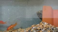 MOV_0614_000000_1.jpg MOV_0614_000000_1.jpg