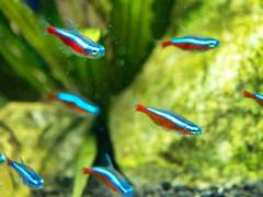 P1010027.jpg P1010027.jpg