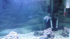 1429266574726.jpg 1429266574726.jpg