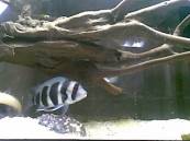 20101114(013).jpg 20101114(013).jpg