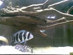 20101114(013).jpg 20101114(013).jpg