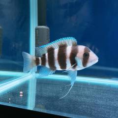 884A2DF9-C1D3-4C71-ADE0-03349AC0A04A.jpeg 884A2DF9-C1D3-4C71-ADE0-03349AC0A04A.jpeg