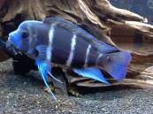 image_1.jpg image_1.jpg