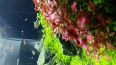 20160303_193230.jpg 20160303_193230.jpg