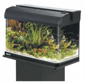 cl3203.jpg cl3203.jpg