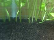 2013-02-25 20.18.24.jpg 2013-02-25 20.18.24.jpg