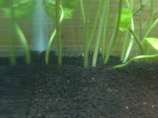 2013-02-25 20.18.24.jpg 2013-02-25 20.18.24.jpg