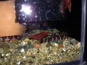 2014-05-26 21.35.54.jpg 2014-05-26 21.35.54.jpg