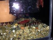 2014-05-26 21.35.54.jpg 2014-05-26 21.35.54.jpg