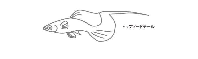 topsword.png topsword.png