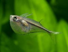 Baidu IME_2016-5-6_21-53-47.jpg Baidu IME_2016-5-6_21-53-47.jpg