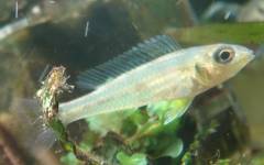 INR06219.jpg INR06219.jpg