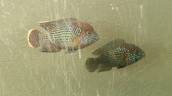 20150302_130513.jpg 20150302_130513.jpg