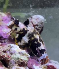 7CA0E680-DC1E-400C-9732-899687E57F33.jpeg 7CA0E680-DC1E-400C-9732-899687E57F33.jpeg